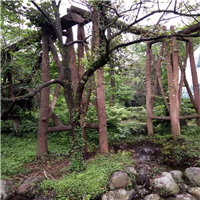 农家美景