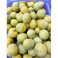 蜂糖李鲜果
