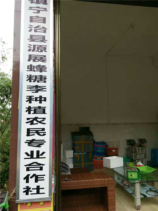 源展蜂糖李种植农民专业合作社 