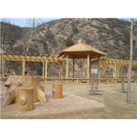 岳阳仿木凉亭，岳阳仿木栏杆，岳阳仿木树桩 