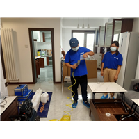 烟台专业甲醛检测治理中心