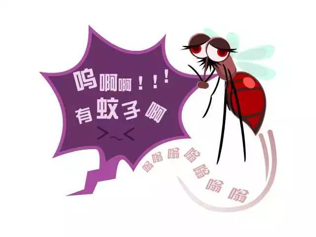 【珠海灭蚊子，珠海蚊子消杀，珠海蚊子防治】 