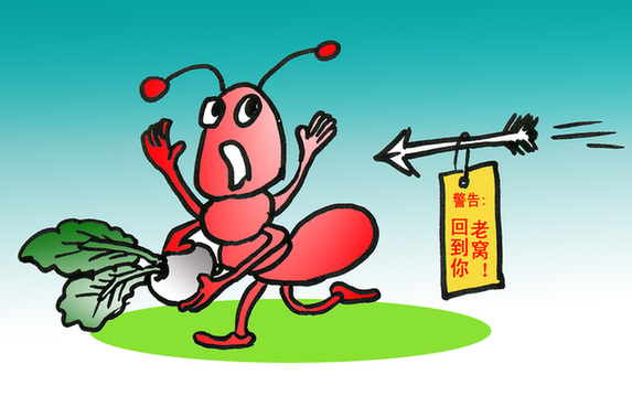 珠海灭蚂蚁/珠海蚂蚁消杀/珠海蚂蚁防治 