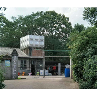 湘潭灭鼠公司