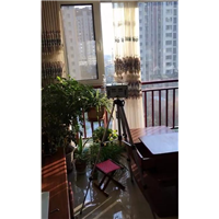 潍坊专业除甲醛 