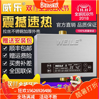 3德国威乐泵 