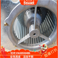 2德国进口ERAE225-4洛森Rosenberg风机 