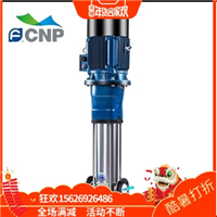 4南方泵业CDM 