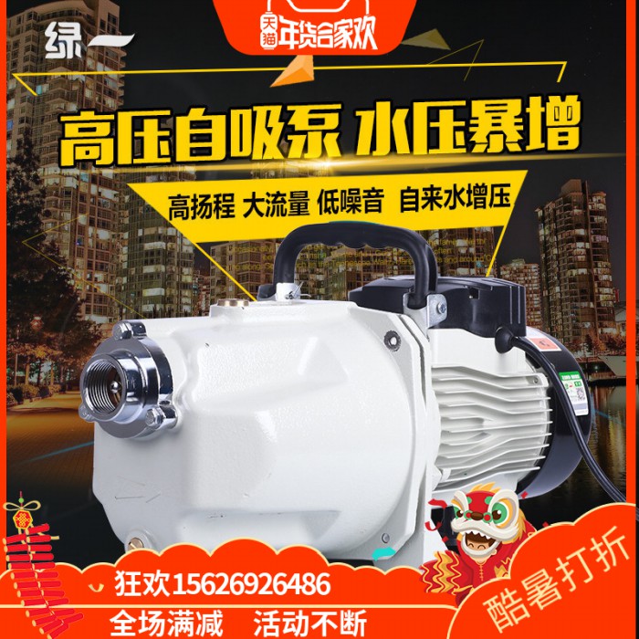 2绿一220V自吸泵 