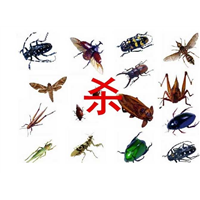长治除四害
