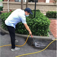 宜兴灭鼠