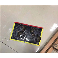 宜兴灭白蚁公司