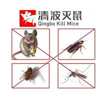 宜兴专业灭鼠公司