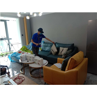 洛阳除甲醛公司电话