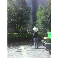 山东写字楼灭白蚁 
