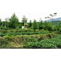 灭老鼠-山东灭老鼠-济南除四害 