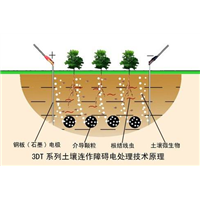 济南饭厅灭跳蚤 