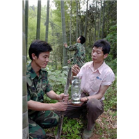 威海灭四害&日照灭老鼠&灭臭虫哪里有 