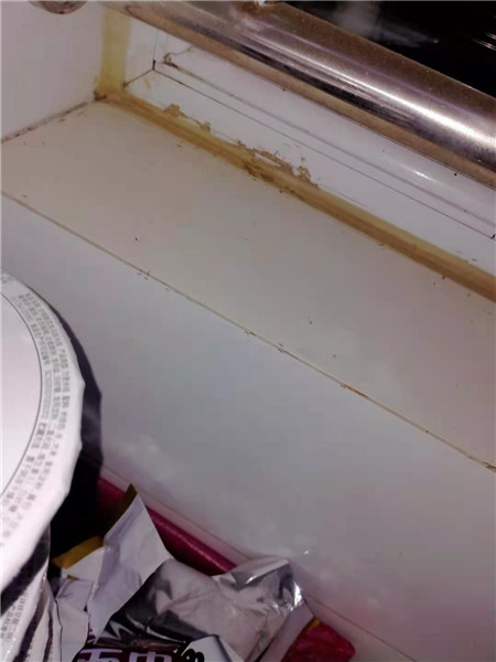 济南灭蚁电话