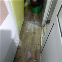济南哪里可以灭蟑螂