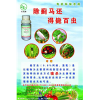 山东公寓除四害 