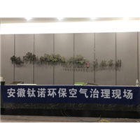 芜湖安展蔚然家园售楼处治理 