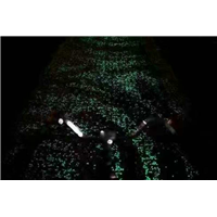 夜光漫道 