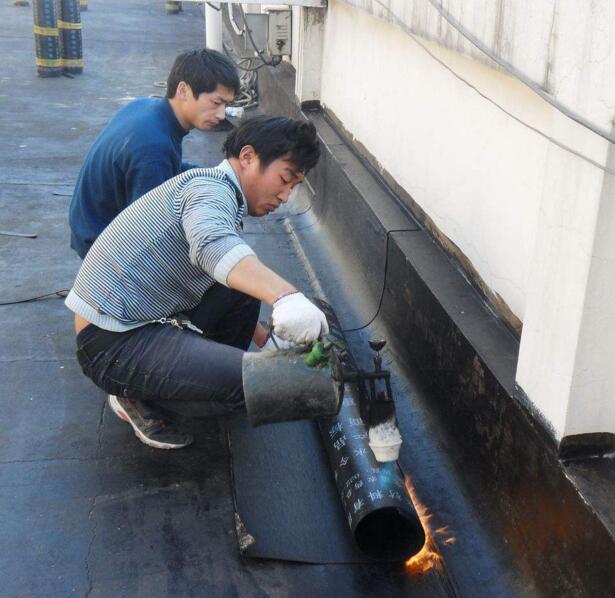 哪家东莞防水补漏便宜 