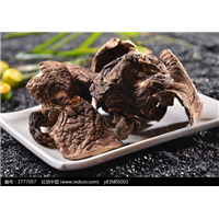 高明黑虎掌-高明黑虎掌价格-黑虎掌批发 