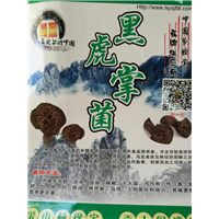 顺德黑虎掌-顺德黑虎掌价格-黑虎掌批发 