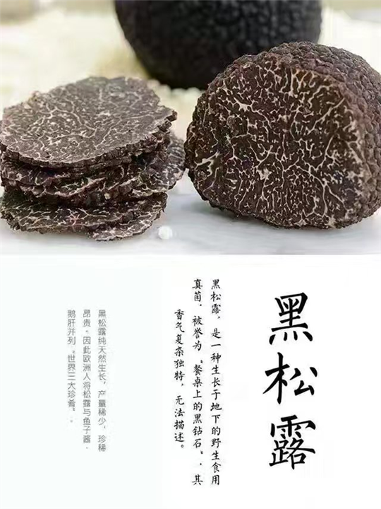 高明黑松露-黑松露价格-黑松露批发