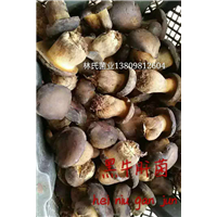 黑牛肝菌 