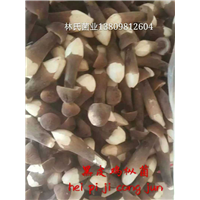 黑皮鸡枞菌 