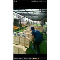 鹰潭除甲醛公司