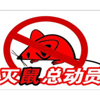兰州灭鼠公司