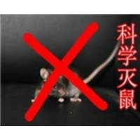 兰州灭鼠