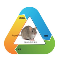 兰州灭鼠公司