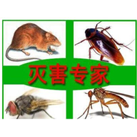 兰州杀虫公司