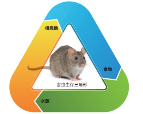 兰州灭鼠公司