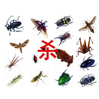兰州杀虫公司电话