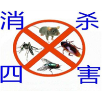 兰州餐馆饭店灭鼠
