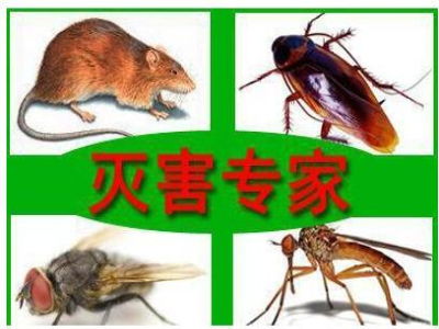 兰州杀虫公司