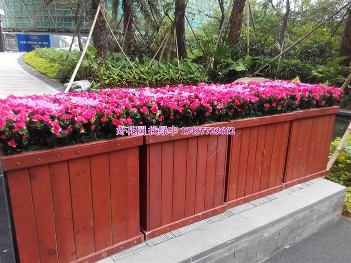 防腐木花箱价格、芬兰KUUSISTO防腐木