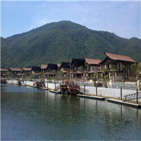 惠阳丰胜花园木价格