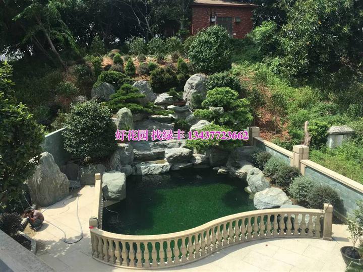 哪里有进口芬兰木卖？大亚湾芬兰木