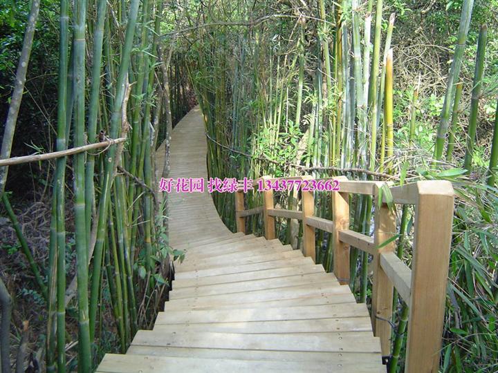 惠阳防腐木木屋、惠阳防腐木凉亭