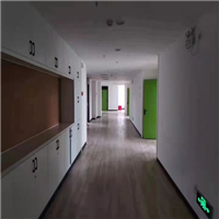 办公室除甲醛