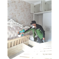 鞍山除甲醛