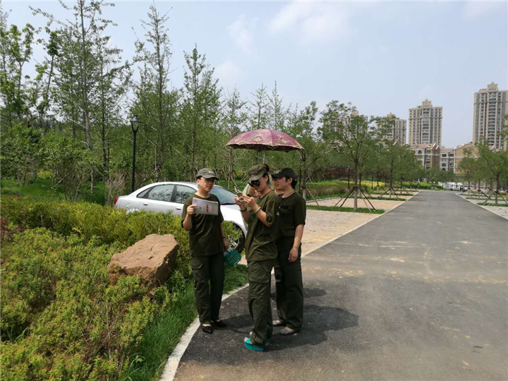 公司风采