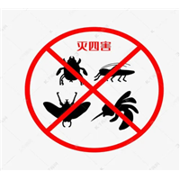 铜仁除虫公司告诉你跳蚤有哪些习性